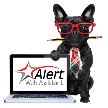 Alert Rental's Web Assistant for website redesign