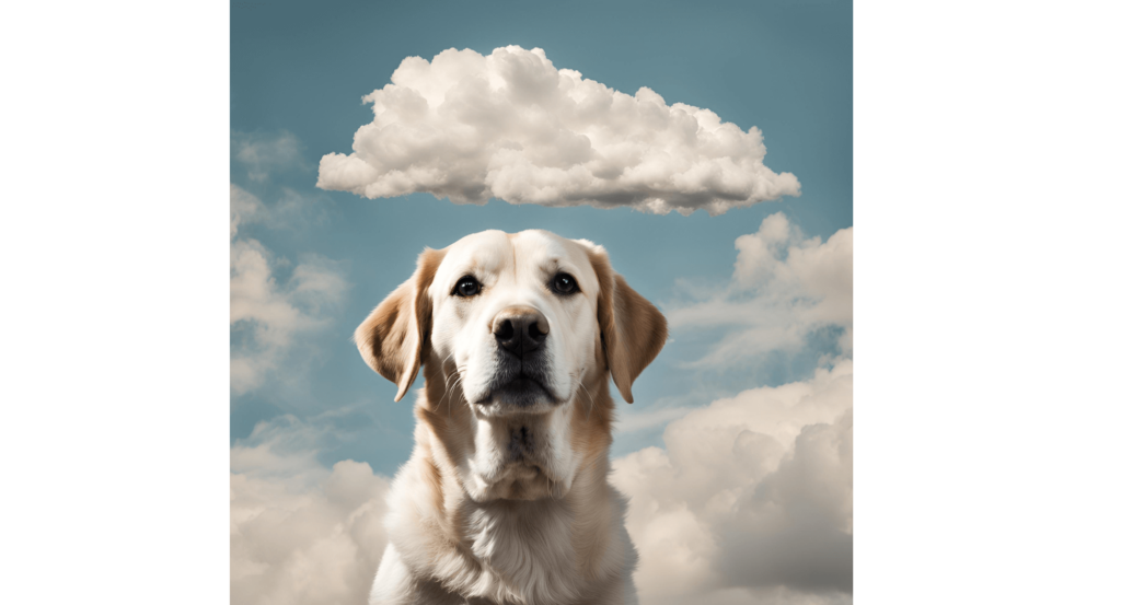 cloud based-dog-in-the-clouds